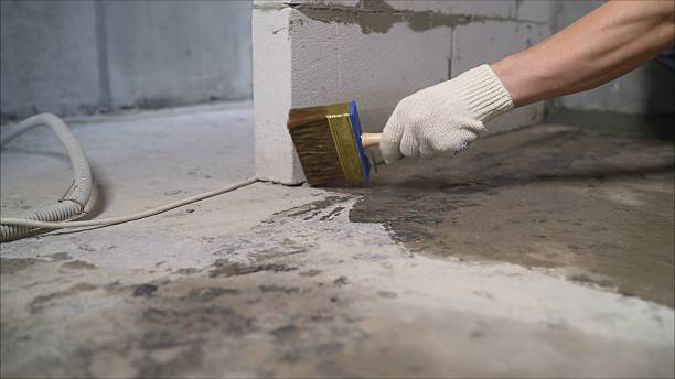 24/7 Emergency Exterior Waterproofing experts in Montevallo, AL